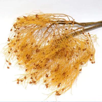 China INS Hot Sale Dream Grass Preserved Natural Dried Flower Real Preserved Dream Grass For Flower Arrangement for sale