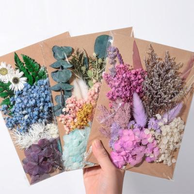 China Designs FLOWERTIME natural preservation and DIY dried mixed flower in bag for DIY material for sale