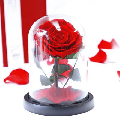 China Designs High End Christmas Valentine's Day Mother's Day Birthday Gift Preserved Rose In Mini Glass Dome for sale