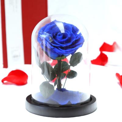 China High Quality Durable Preserved Designs Gift Item Logo Customization Roses In Mini Size Glass Dome for sale