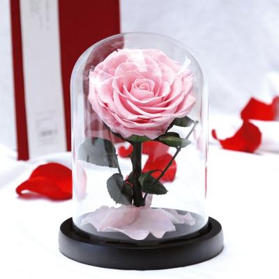 China Designs Wholesale OEM Natural Preserved Single Eternal Real Forever Roses 5-6cm in Glass Dome for sale