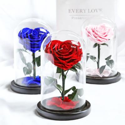 China Designs FLOWERTIME Bestseller Valentine's Day Gift Eternal Roses 7-8cm Tall in 12*20cm Small Glass Dome for sale