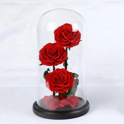 China China Gift Item Classic Romantic Multicolor 6-7cm 3 Forever Preserved Eternal Roses In Medium Glass Dome for sale