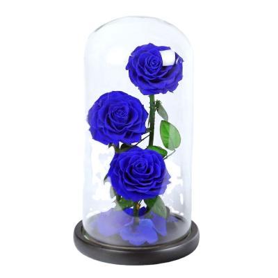 China Real Designs Factory Supply OEM Services Logo Customization Dome Glass Roses Preserved Roses for sale