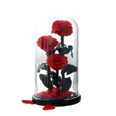 China 3 natural preserved 9-10 cm roses in 20*30 cm big size glass dome for girls for sale