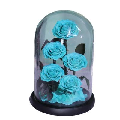 China China Factory OEM Services Customized Logo / Mounted True Color Preserved 5 Roses In Large Size Glass Dome for sale