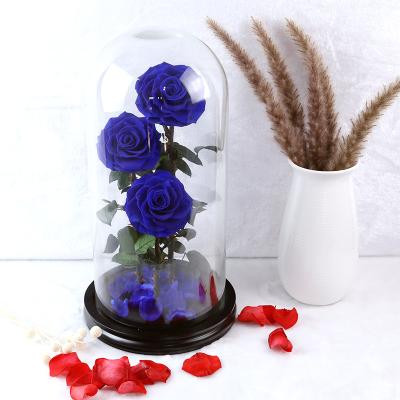 China Designs Large Size Roses 9-10 cm 3 Roses In Double Bottom Large Size Glass Dome Preserved Roses for sale