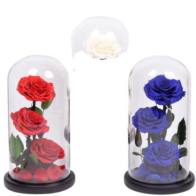 China Designs Wholesale Customization Products Eternal Roses Large 3 In L Size Glass Dome Roses Forever For Girls for sale