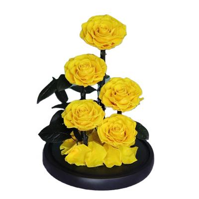 China China 5 pieces 7-8 cm roses in 20*30 cm big size glass dome with gift box preserved flower eternal roses for sale