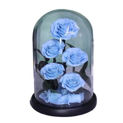 China Luxury Designs 5pcs Roses Gift 7-8 Cm Over 30 Colors In Glass High End Rose Glass Dome for sale