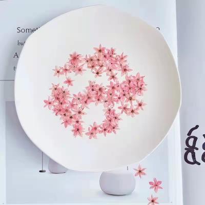 China Hand Made Real Flower DIY Real Flower Glue Picture Frame Natural Dry Rose Star Embossed Leaking Pressed Flower for sale