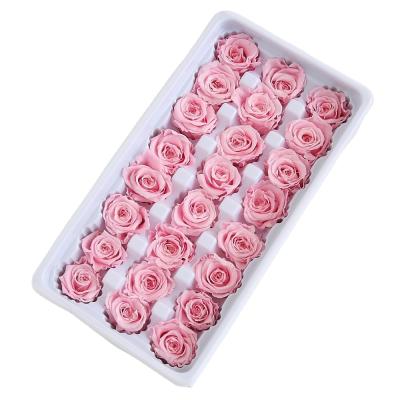 China Hot Selling DIY Designs 2-3cm Mini Roses Preserved Forever Everlasting Flower Roses Head 24pcs In Box for sale