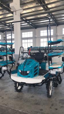 China 6 Row High Speed Riding Type Rice Transplanter for sale