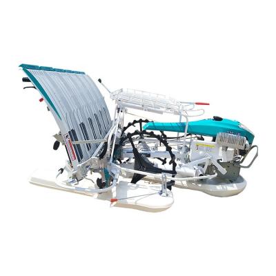 China 6 Row Walking type Rice Transplanter for sale