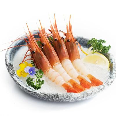 China Soba Disposable High Quality Sushi Sashimi Dishes Japanese Restaurant Ceramic Dish for sale