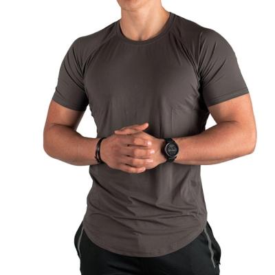 China anti-wrinkle oem scoop edge sports t shirts for gym men fitness t shirts men for sale