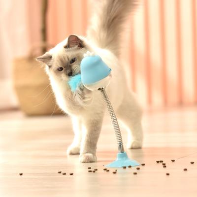 China Sustainable Pet Cats Toy Refillable Cat Toys With Natural Interactive Indoor Catnip for sale