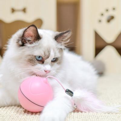 China 2022 Pet Stocked Cat Interactive Toys With Trigger Sleeping Toys Smart Catnip Toy Ball For Cat for sale