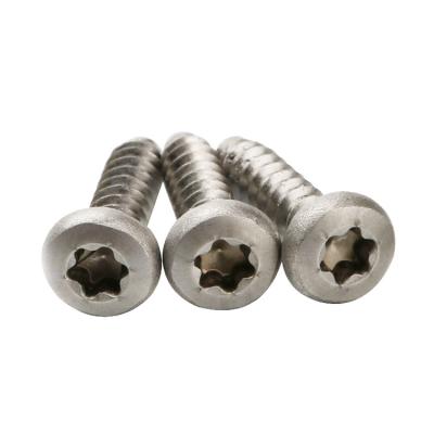 China Pan SHI SHI TONG m2 M3 M4 M5 Pan Head Stainless Steel pint self tapping with serrated for sale