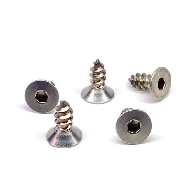 China China Manufacturers Flat Tap Screws OEM Countersunk Small And Miniature Hex Head Socket Screws for sale