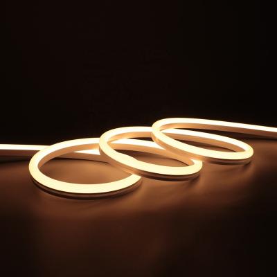 China LANDSCAPE DC 12v 24v Led Neon Flex Tube Tape Light Ip 67 Silicone Rope Neon Led Strip Light for sale