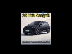 2025 byd seagull, upgraded intelligent driving, improved safety configuration. more functions