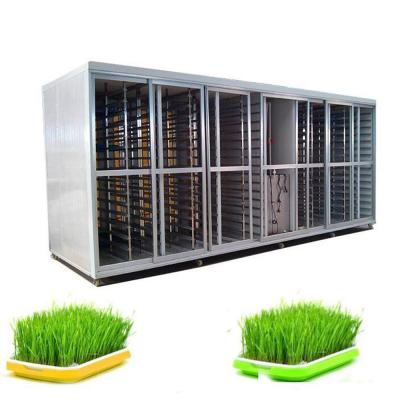 China Animal Fodder Hydroponic System Barley Germination Machine 100kg Per Day for sale