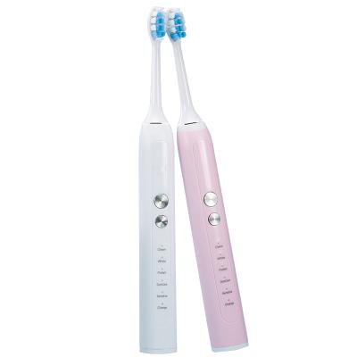 China 2020 Battery Operated Sonic Electronic Toothbrush Tooth Whiteners for sale