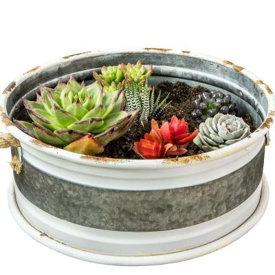 China Oval Metal Flower Bucket Pastoral Metal Planter Galvanized Iron Bucket With Rust Trim And Rope Handle Raised Garden Bed Planter for sale