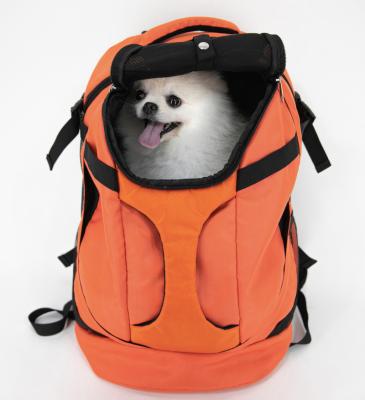 China 2022 Viable New Carrier Dog Bags Pet Carrier Backpack For Small And Medium Pets Cat Backpack Carrier Fully Ventilated Orange for sale