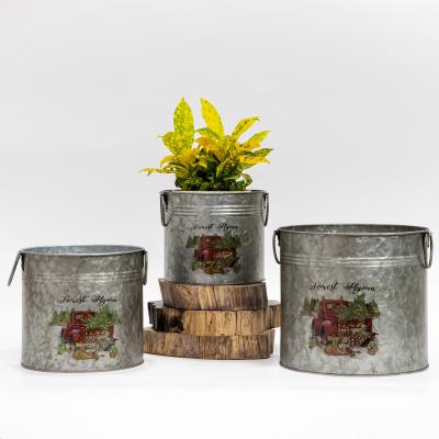 China American Style Christmas Metal Galvanized Flower Bucket Set Farmhouse 3 Shabby Chic For Decor Galvanized Flower Bucket for sale