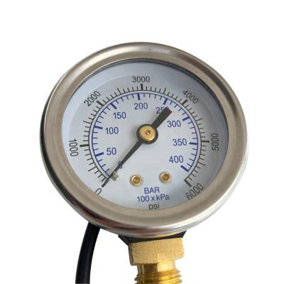 China Stainless steel case 5V/12V car cng brass internal pressure gauge for sale