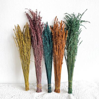 China Wedding Party Home Shop Decoration Dried Lavender Dried Plants and Flowers Wedding Decor Lavender Home Flowers for sale