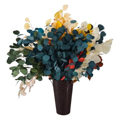 China Events Decoration Natural Dried Plants and Flowers Preserved Foliage Eucalyptus Leaves Populus Leaves for sale