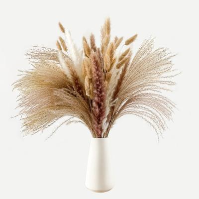 China Real Natural Touch Plants Home Decor Romantic Natural Dry Touch Real Touch Dried Flowers Pampas Grass for sale