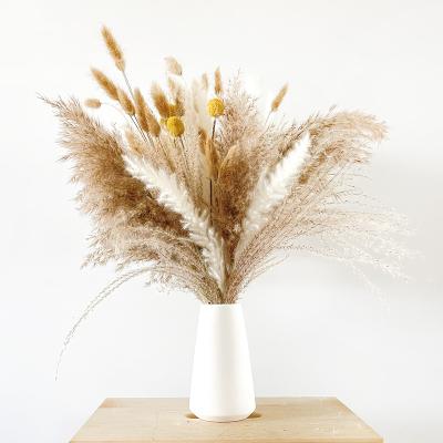 China Real Natural Dried Craspedia Pampas Grass Plants And Flowers Home Decoration Dried Bouquet for sale