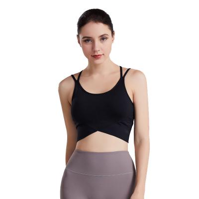 China Breathable Sexy Fast Delivery Sexy Workout Apparel Seamless Sports Bras Work Out Yoga Bra for sale