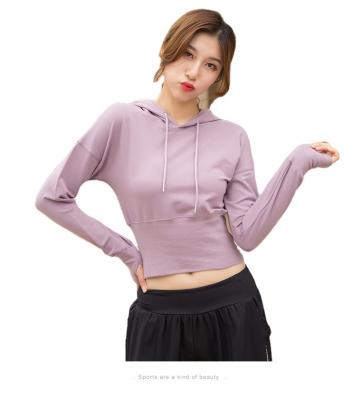 China Breathable Ladies Fitness Sportswear Yoga Wear Hoodie Long Sleeve Size Women's Tight Upper Running Suit for sale