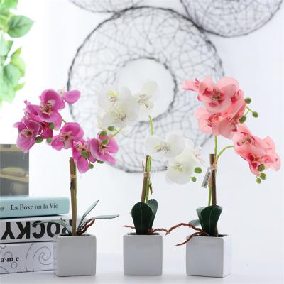 China Artificial Plants Pot 2 Branches Silk Flower Pot Artificial Orchid Ceramic Flowers for sale