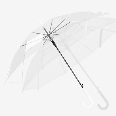 China Promotional 23 Inch POE J Contemporary Automatic Straight Handle Clear Umbrella for sale