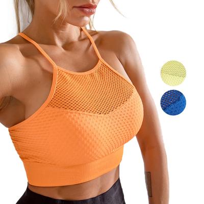 China Mesh Hollow Out Women Quick Back Compression Sexy Hot Unique Thin Breathable Strap Sports Dry Bra for sale