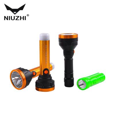 China Lightweight High Quality Portable Led Torch Light Plastic Rechargeable Flashlight For Emergency Camping Outdoor for sale