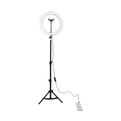 China Hot Selling Studio Shooting Photography LED Visual Makeup Fill Mobile Phone Stand Camera Fill LED Glow Ring Live Light For Photography Visual Makeup for sale