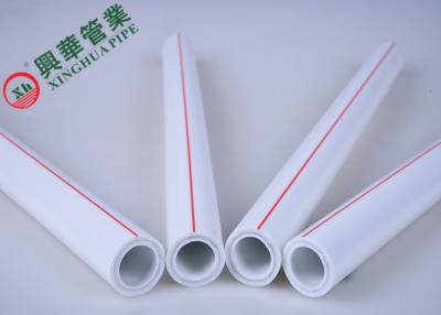 China Multipurpose PPR Aluminum Pipe 20 - 63 Mm Chemical Resistance ISO15874 Standard for sale