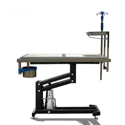 China For Pet Treatment Pet Hospital Veteri Animal Electric Operating Table Pets Examination Table for sale