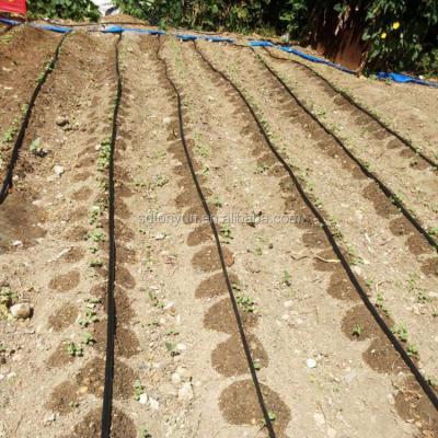 China Water-saving Thailand 5 Hole Drip Tape Irrigation Tube for sale