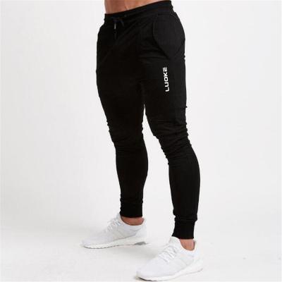 China Breathable Fitness Breathable Quick Drying Sports Pants Men Spring And Autumn New Loose Casual Fashion Men's Pants for sale