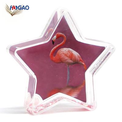 China Custom Acrylic Empty Novelty Gifts Home Decor Star Shape Water Globe Europe Theme Europe Theme Plastic Snow Globe With Photo Insert for sale