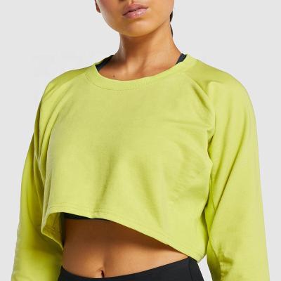 China Breathable Solid Color Custom Women's Long Sleeve Blouse Yoga Sports Crew Neck Spandex Tops Fitness Gym Ladies Loose Casual Basic Crop for sale