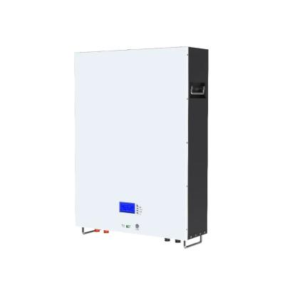 China Smart BMS Off Grid Hybride Lithium Ion House Batterij 100ah 200ah Op maat Te koop